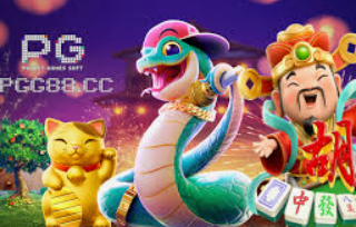 赏金国际vip登录入口2024最新版