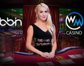 赏金国际vip登录入口